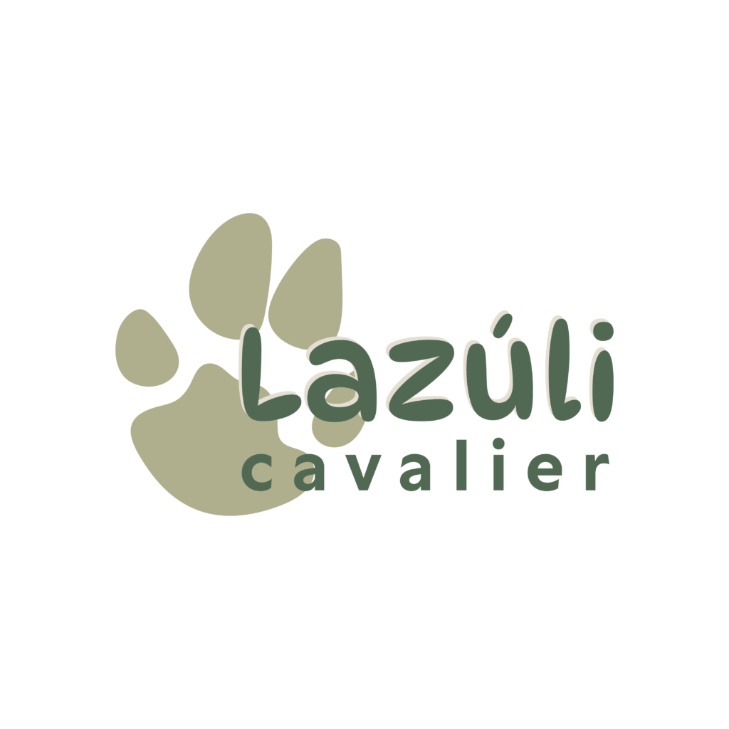 logo-lazuli