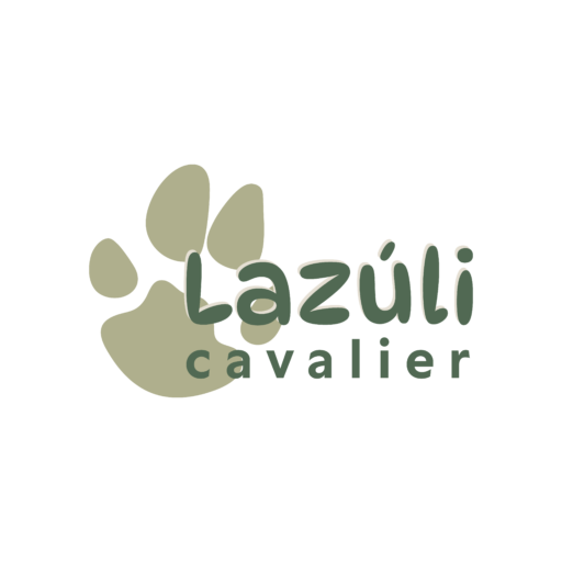 logo-lazuli